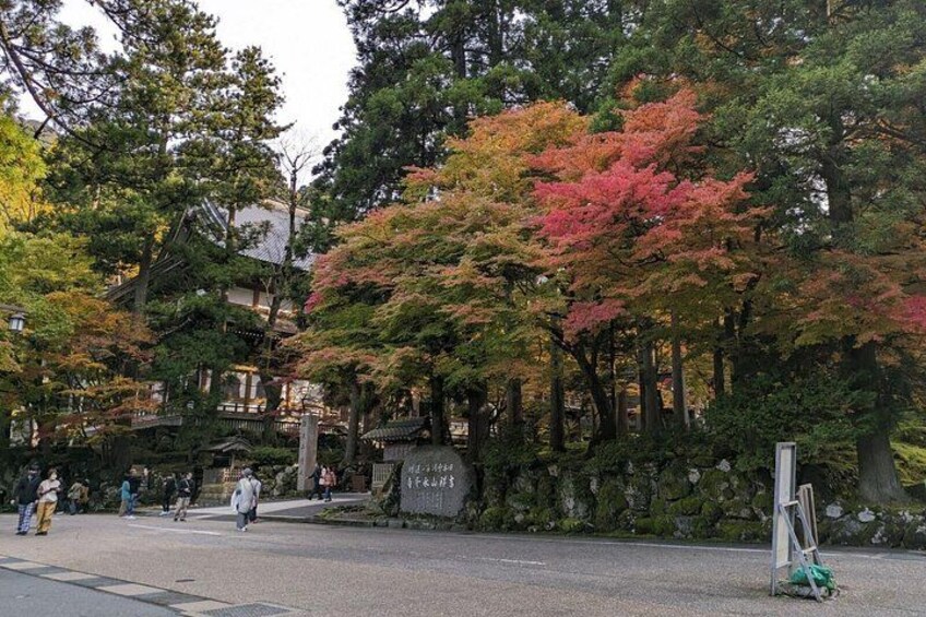 Full Day Tour Eiheiji Buddhist Temple and Fukui City Castle Town 2