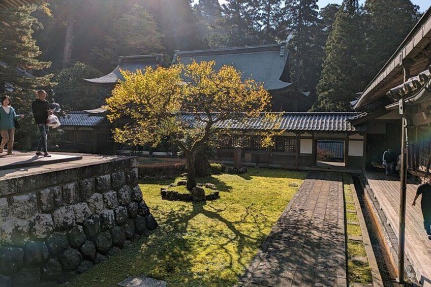 Full Day Tour Eiheiji Buddhist Temple and Fukui City Castle Town 2