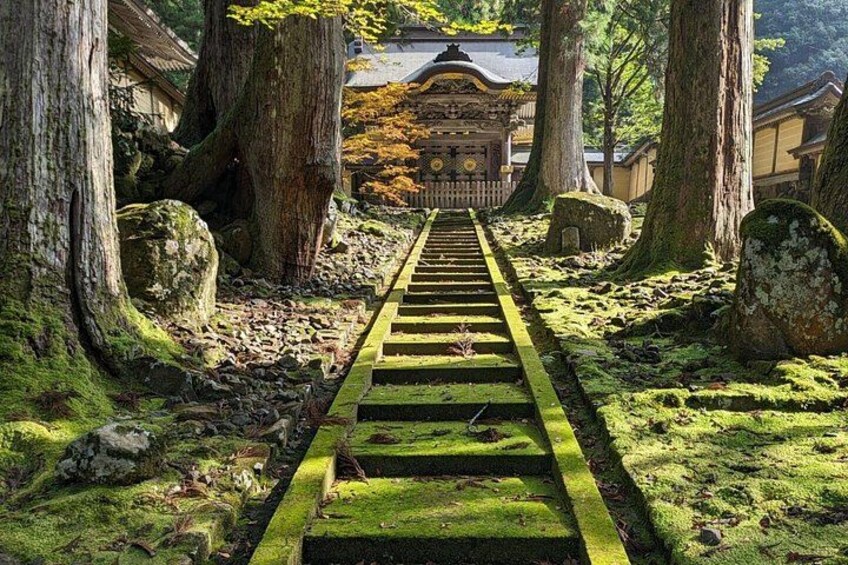 Full Day Tour Eiheiji Buddhist Temple and Fukui City Castle Town 1
