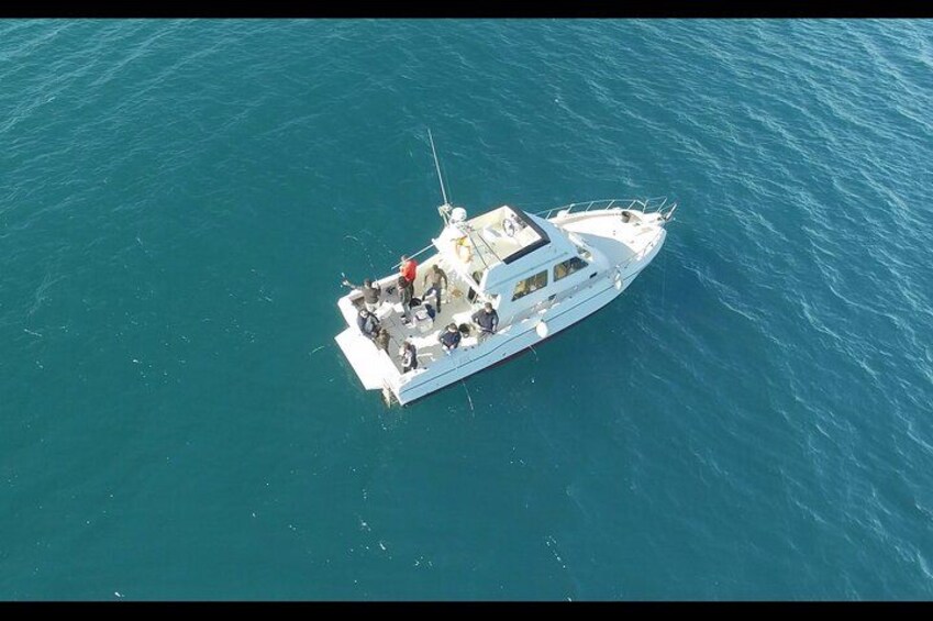 Fishing trip Torrevieja 2