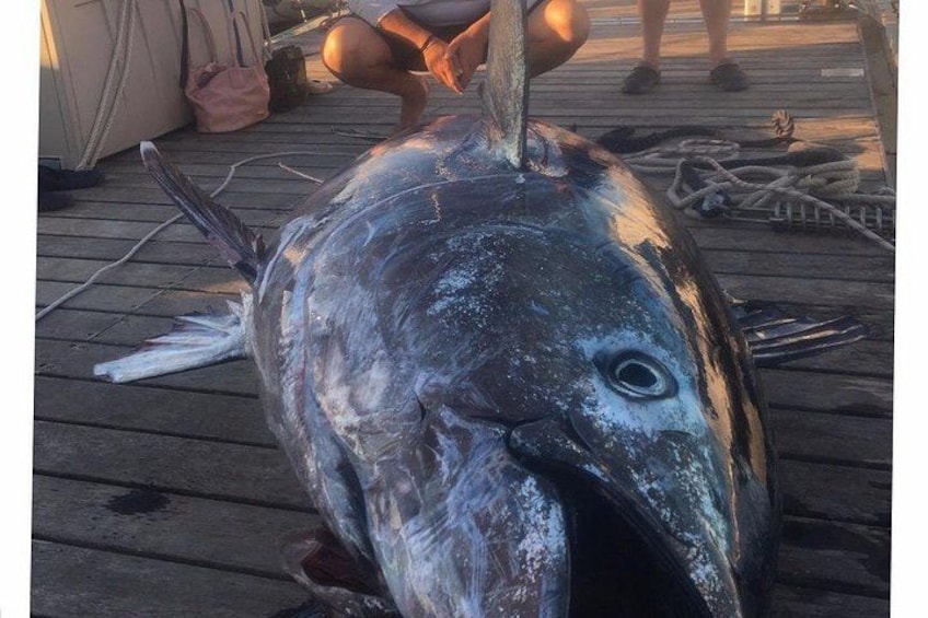 Fishing trip Torrevieja 2