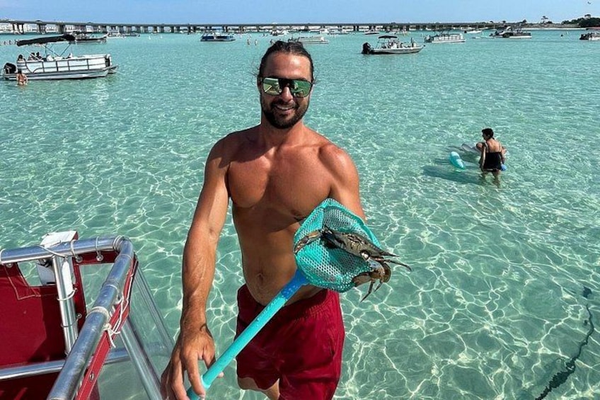 SunVenture Captain in the water catching crabs 3