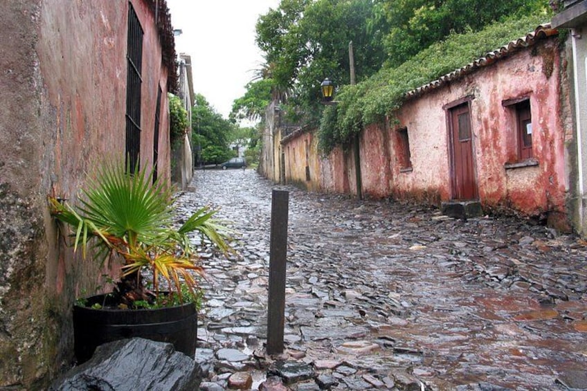 Premium Day Tour to Colonia del Sacramento 5