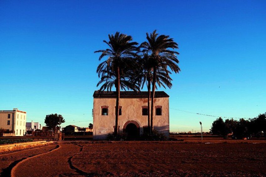 A building with a palm tree in front, a clear sky, and a dirt ground. 3