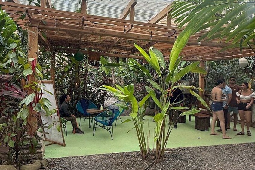 Un espace extérieur abrité, doté d’une pergola en bois, d’un gazon synthétique vert et de diverses plantes. 3