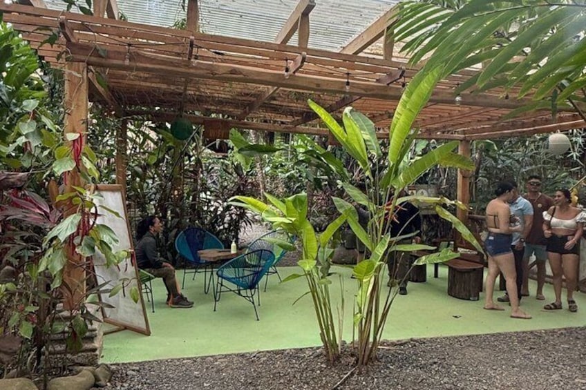 A covered outdoor area with a wooden pergola, green artificial turf, and various plants. 4