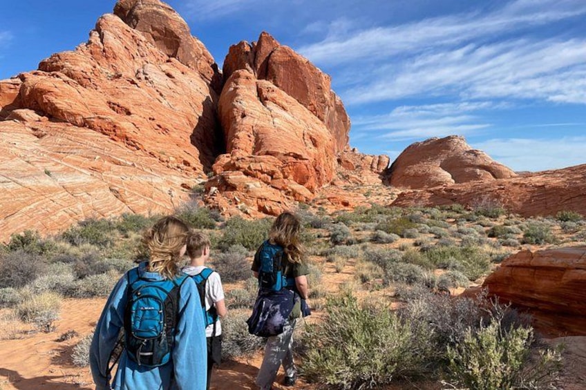 A desert landscape with red rock formations and sparse vegetation. 4