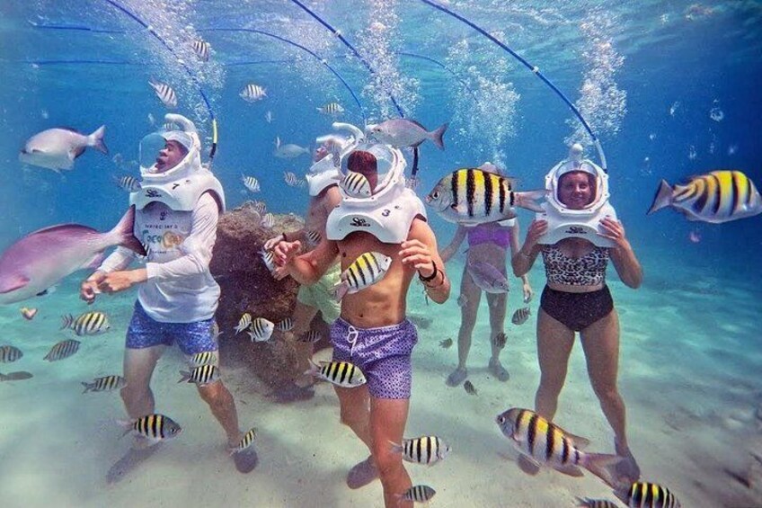 Menschen beobachten Fische beim Schnorcheln unter Wasser. 3