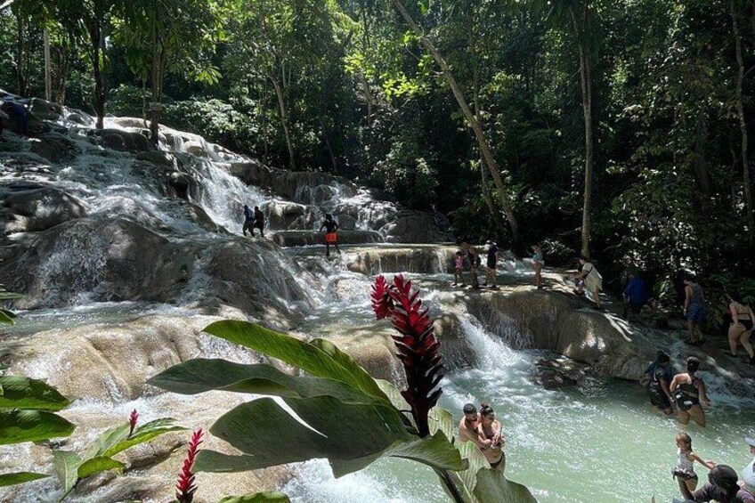 A waterfall, rocky terrain, and lush greenery. 2