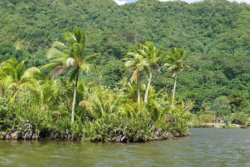 For the "green" side of our beautiful island! 2