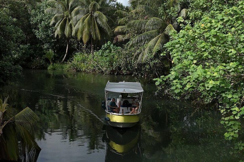 A timeless moment on the river Faaroa, between silence, nature and serenity. 4