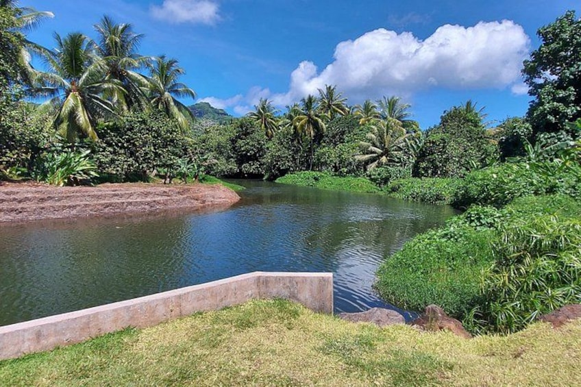 A natural break over the river, in one of the most soothing places in Raiatea. 1