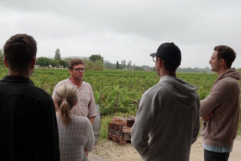 Saint Emilion Half Day Ebike and Wine Tour with Picnic. 2