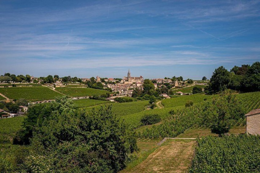Saint Emilion Half Day Ebike and Wine Tour with Picnic. 4