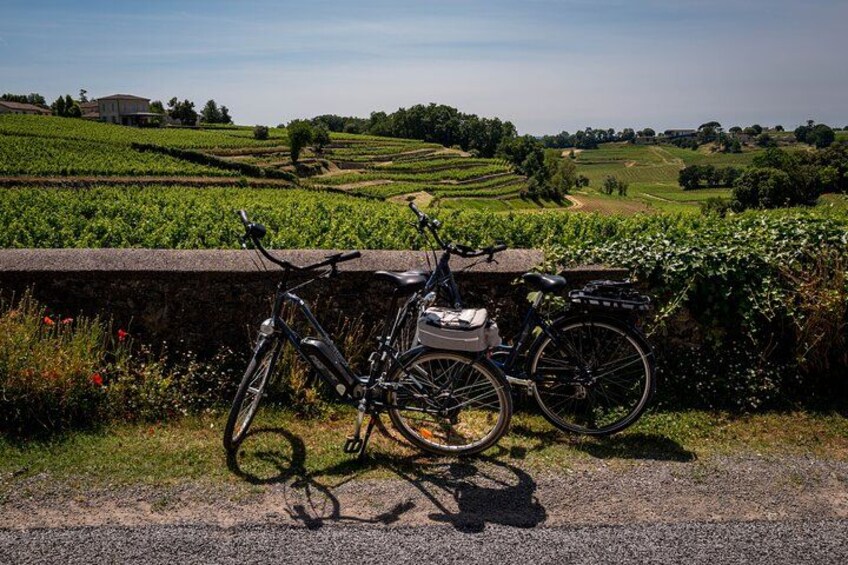 Saint Emilion Half Day Ebike and Wine Tour with Picnic. 3