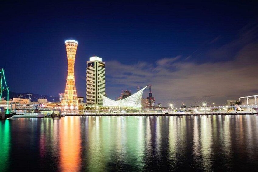 Kobe : Private Custom Tour (Excursion to Osaka / Kyoto possible) 2
