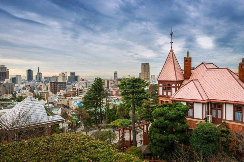 Kobe : Private Custom Tour (Excursion to Osaka / Kyoto possible) 4