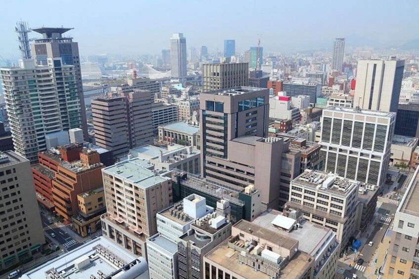 Kobe : Private Custom Tour (Excursion to Osaka / Kyoto possible) 3