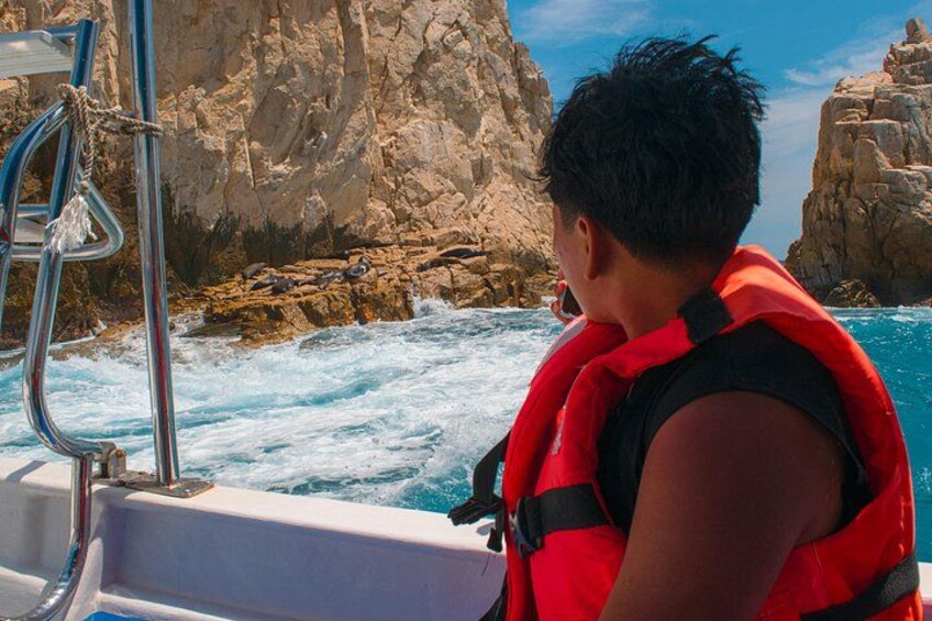 Cabo San Lucas Glass Bottom Boat Tour to the Arch with Beach Time 3