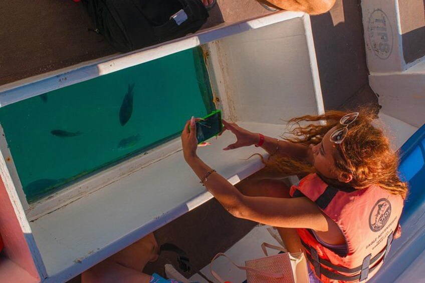 Cabo San Lucas Glass Bottom Boat Tour to the Arch with Beach Time 5
