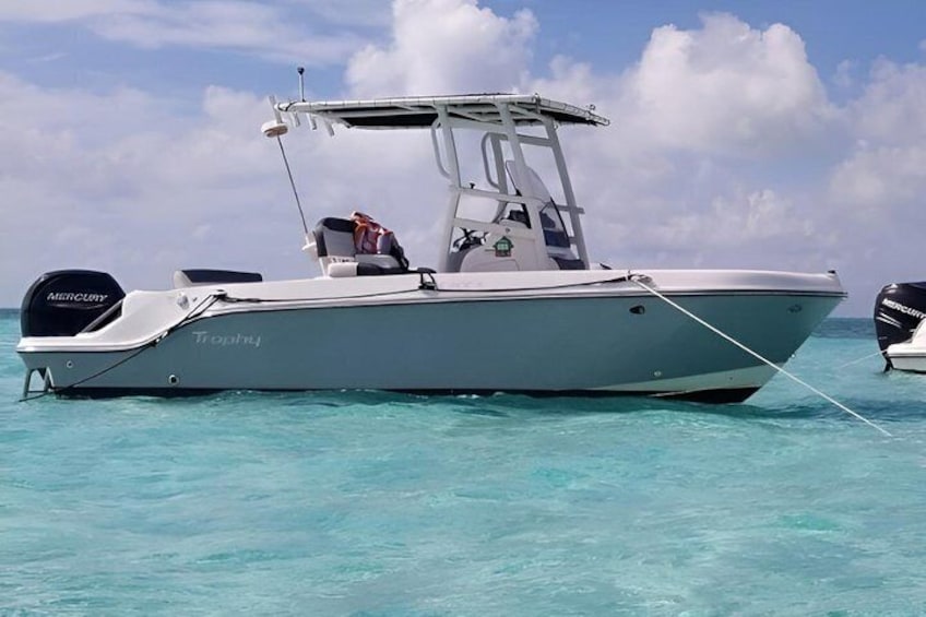 Grand Cayman Private Boat Charter - Bioluminescent Bay 3