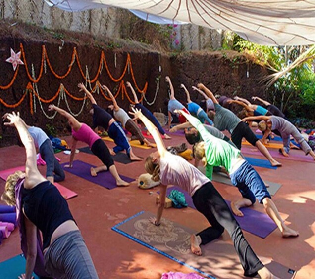 Picture 1 for Activity Varanasi: Morning Yoga on the Bank of the Ganga River 3