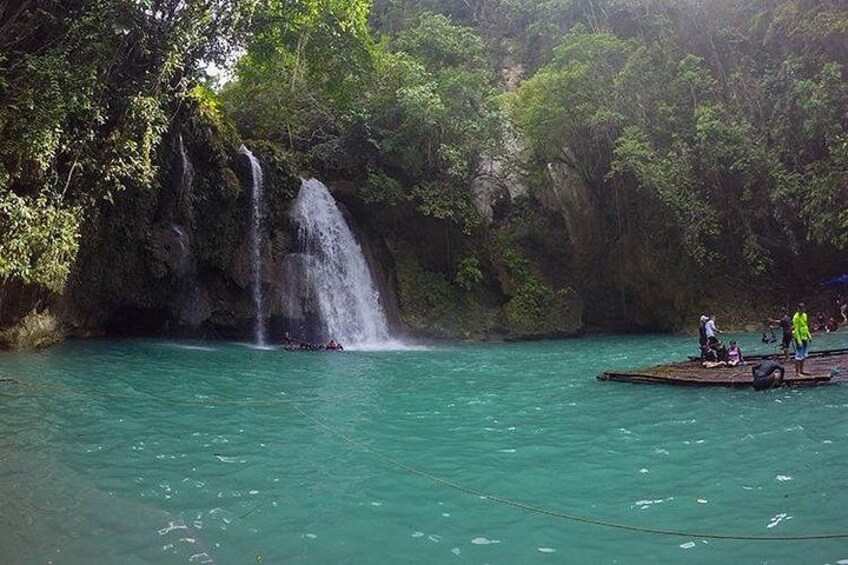 Oslob Whale Shark Watching + Kawasan Falls Day Tour 3