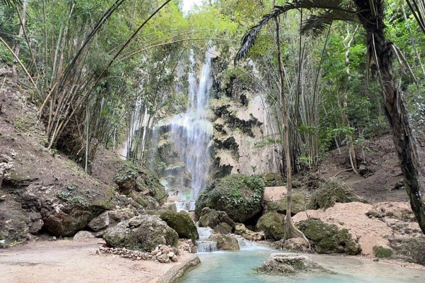 Oslob Whale Shark Watching + Kawasan Falls Day Tour 2