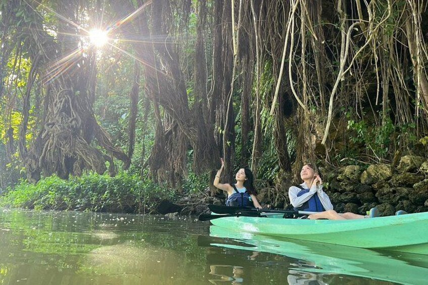 Mangrove Kayak & Sea Fishing Experience in Okinawa 2