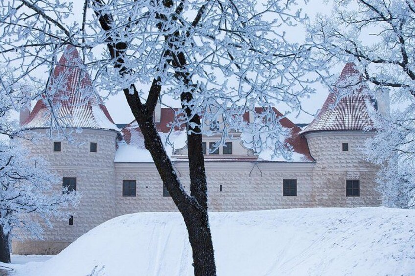A snow-covered castle with red roofs and a tree in the foreground. 2