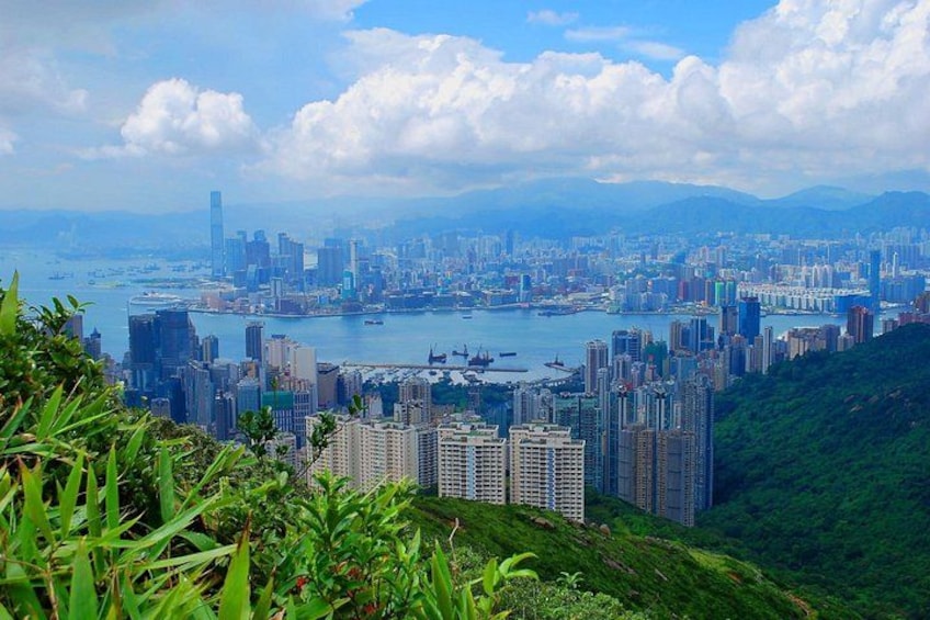 Hong Kong : Must-See Attractions Walking Tour With A Guide 2