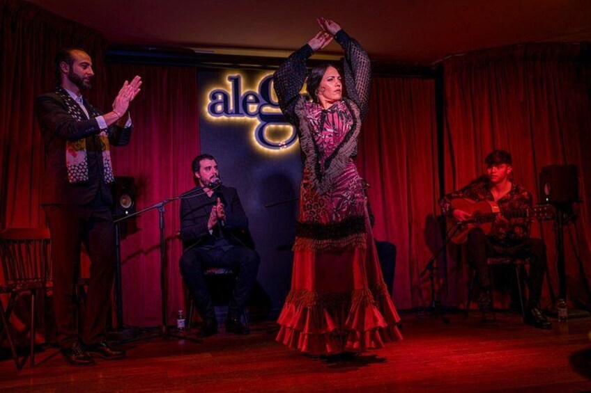 Flamenco Restaurant and Show in Alegria 3