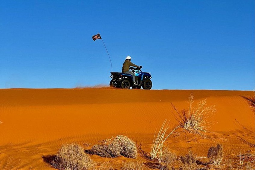 A person riding a quad bike on a sand dune with a flag. 2
