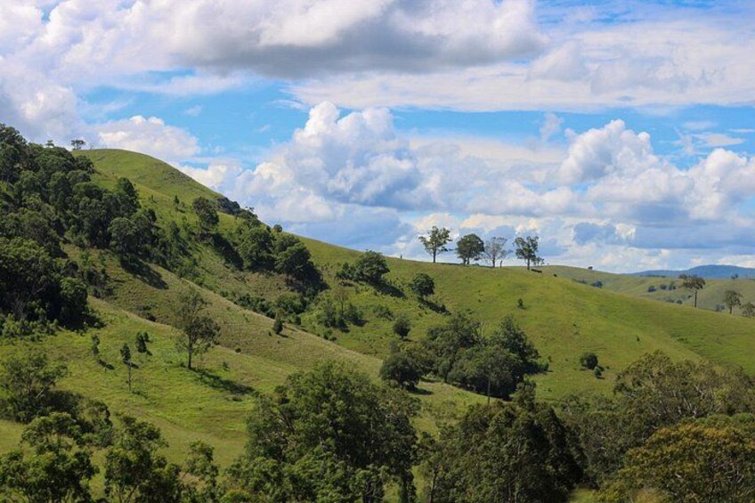 Newcastle: Country Towns River & Farm Tour with BBQ 2