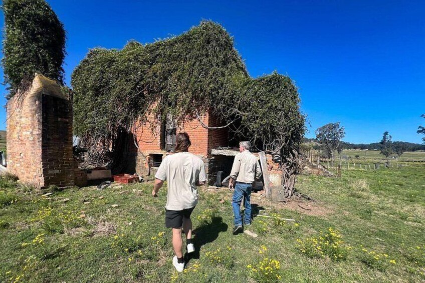 Newcastle: Country Towns River & Farm Tour with BBQ 4