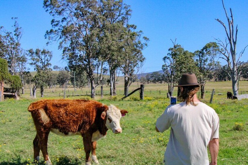 Newcastle: Country Towns River & Farm Tour with BBQ 1