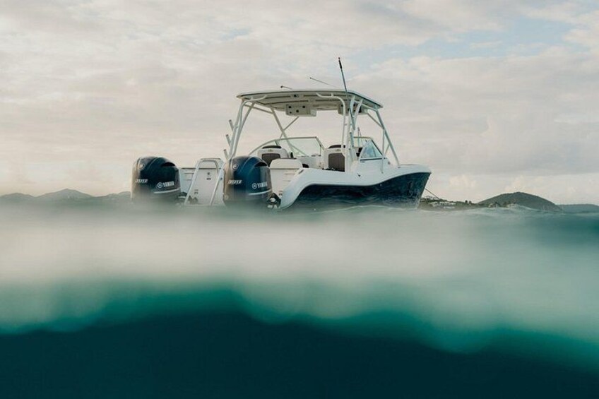 Welcome aboard our 29' World Cat, Bonus Time! 3