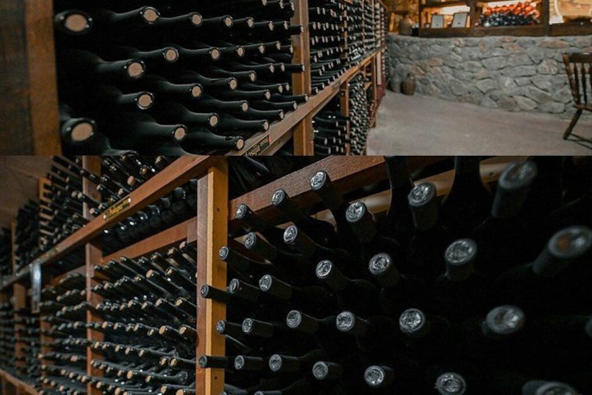 S&S Winery - Wine Tasting Experience in Ohrid 2