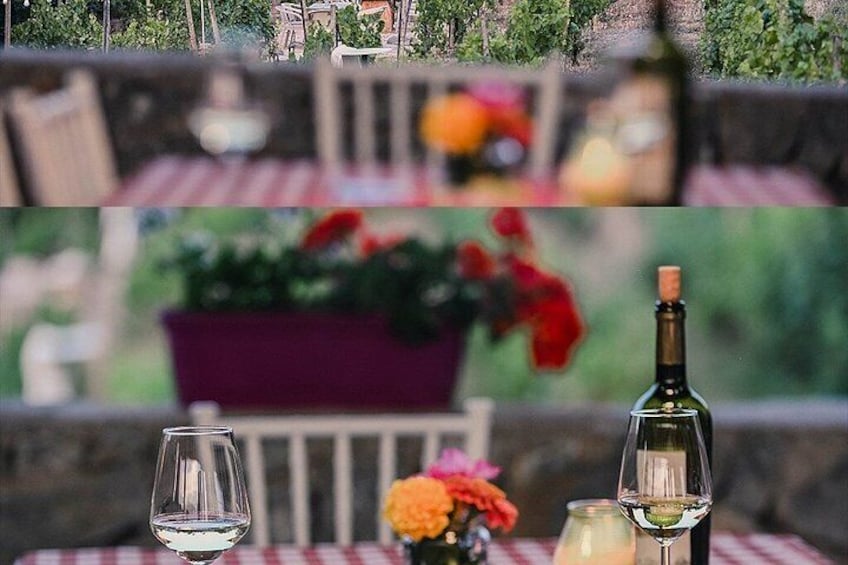 S&S Winery - Wine Tasting Experience in Ohrid 2