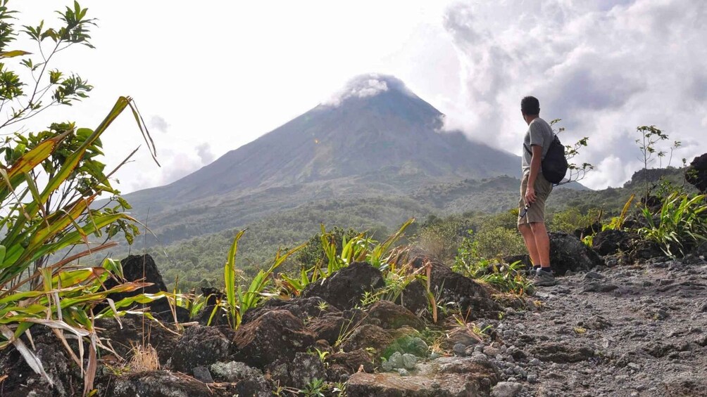 Picture 11 for Activity La Fortuna: Waterfall, Arenal Volcano and Hot Springs Tour 2