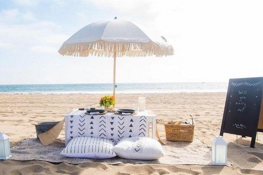 Classic Beach Picnic in Santa Monica 1