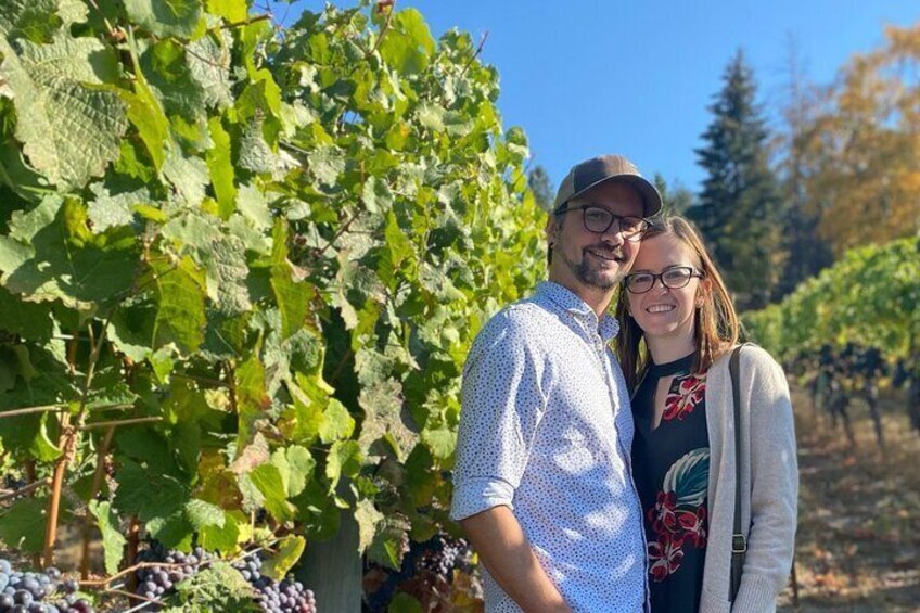 Vernon Full Day Guided Wine Tour with 5 Wineries