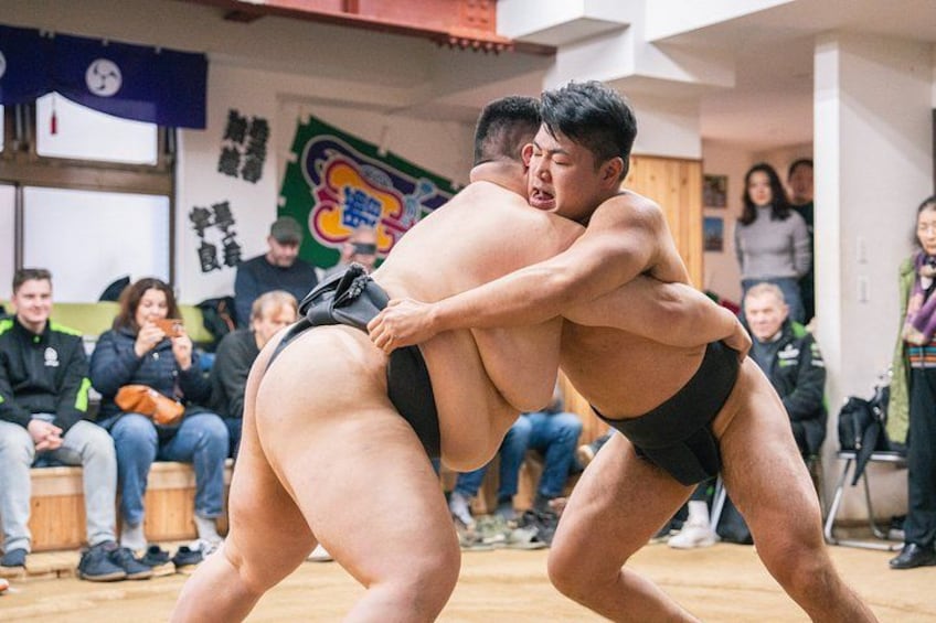 Authentic Tokyo Sumo: Enter the Ring & Chanko Lunch 5