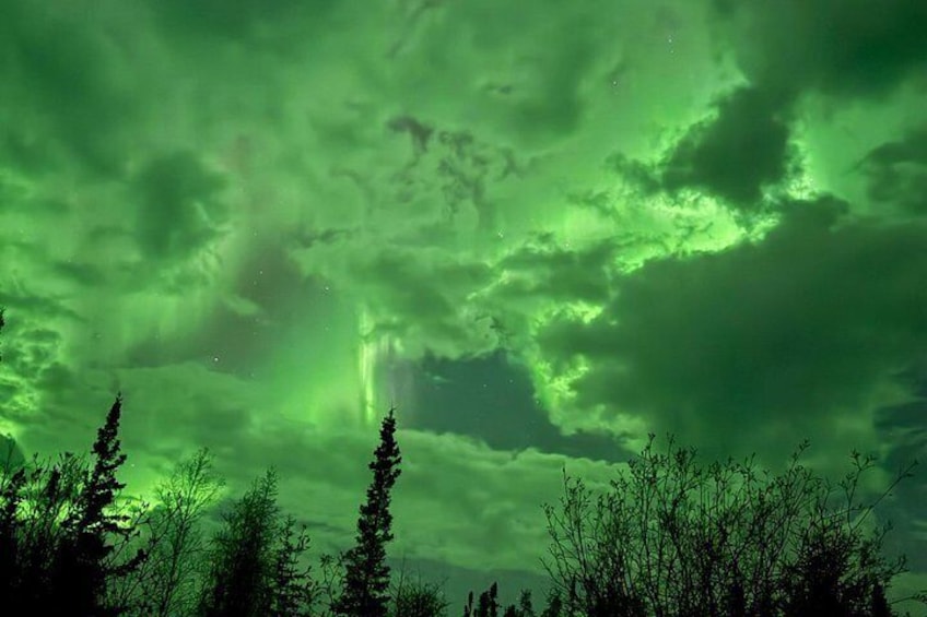 Yellowknife Aurora Hunting Tours by Bus 4