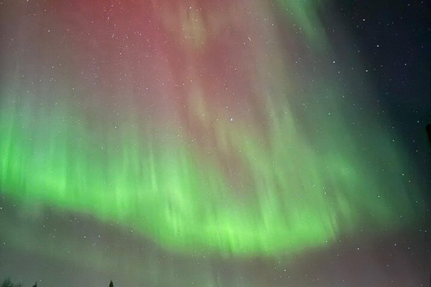 Yellowknife Aurora Hunting Tours by Bus 5