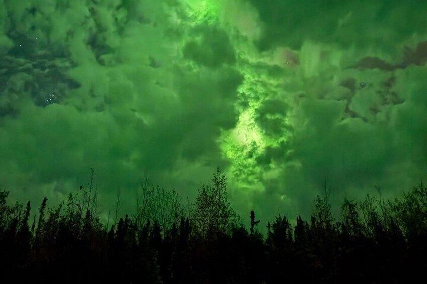 Yellowknife Aurora Hunting Tours by Bus 3