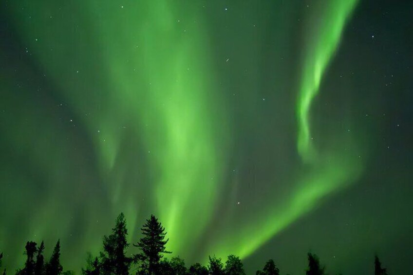 The aurora borealis over a forested landscape. 2