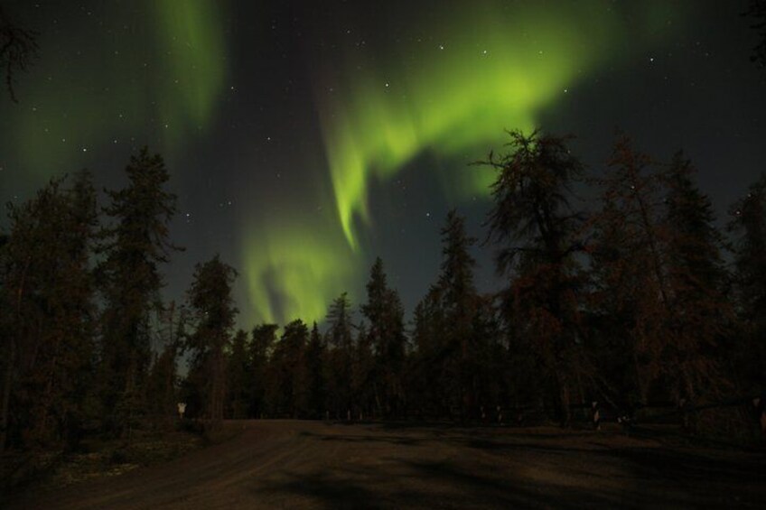 The Northern Lights over a forested area with a dirt road. 4