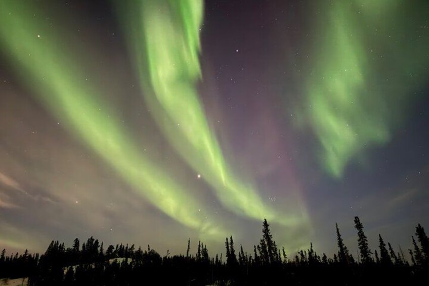 The aurora borealis over a forested landscape. 3