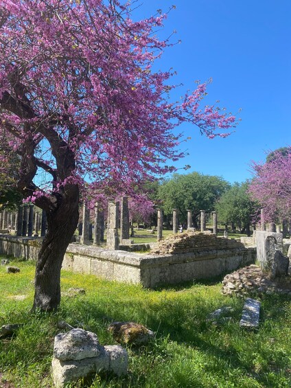 Picture 10 for Activity Private Guided Tour of Ancient Olympia 3
